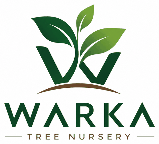 Warka Tree Nursery